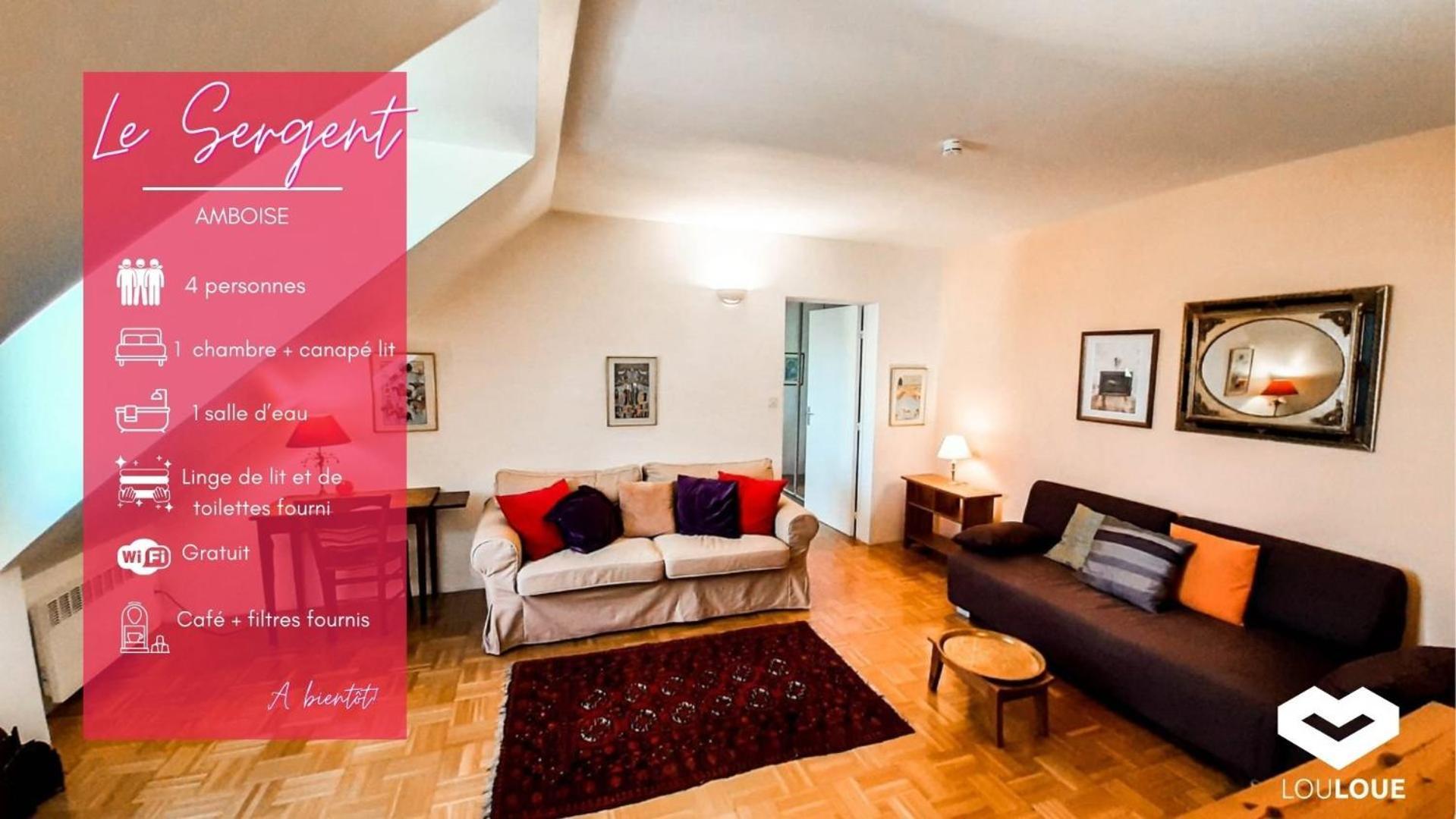 Spacious T2 Apt In City Center. Amboise Exteriör bild