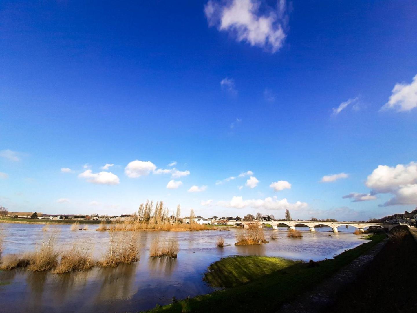 Spacious T2 Apt In City Center. Amboise Exteriör bild